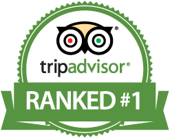 Tripadvisor Ranked #1